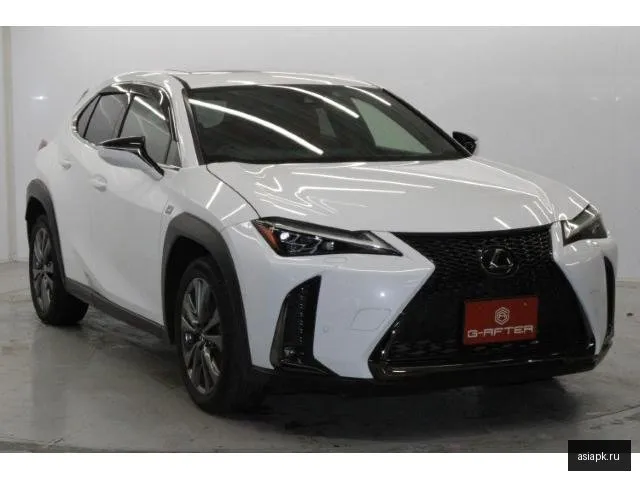 Lexus UX250h 6