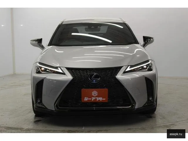Lexus UX250h 5