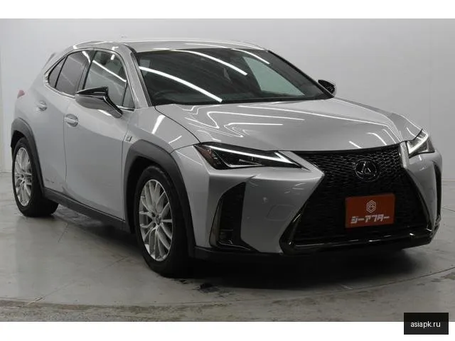 Lexus UX250h 6
