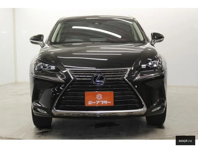 Lexus NX300h 5