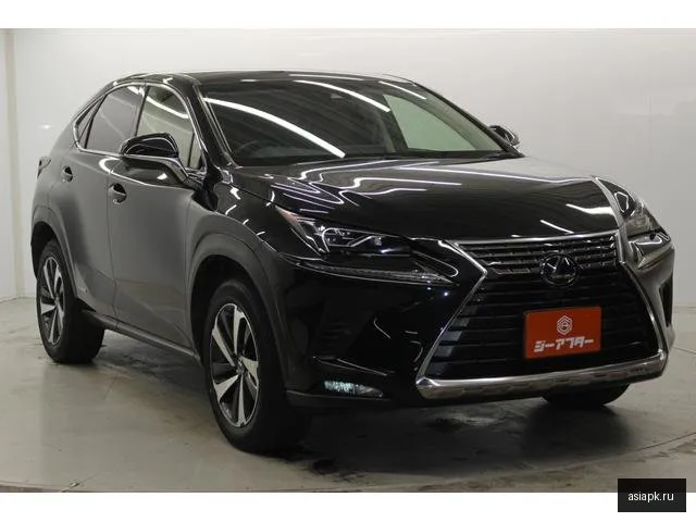 Lexus NX300h 6