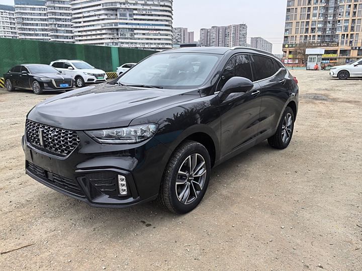 Weipai VV5 2020 1.5T Two-wheel drive Yan Pioneer