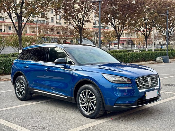 Adventurer 2020 2.0T Two-wheel drive Zunya Edition