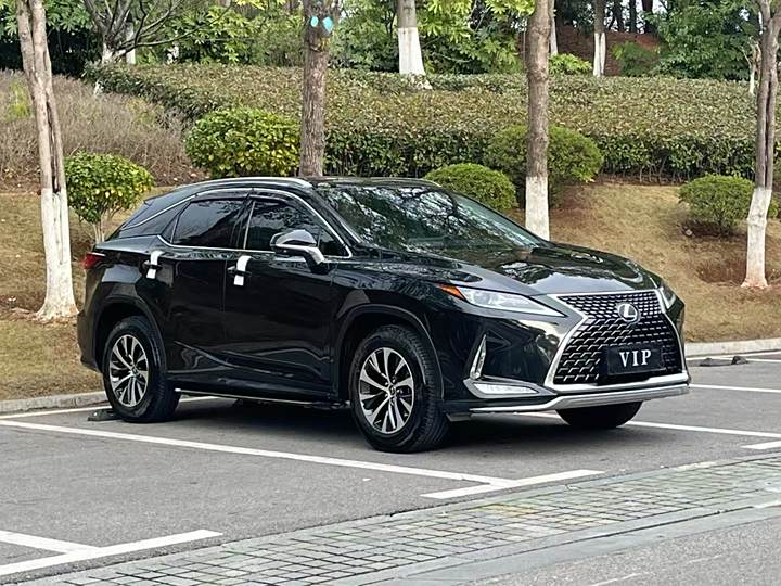 Lexus RX 2020 model facelift 300 two-wheel drive elite version