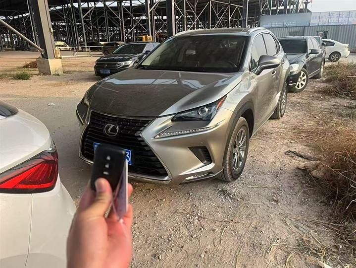 Lexus NX 2020 200 Full Drive Fengshang Version Guo VI