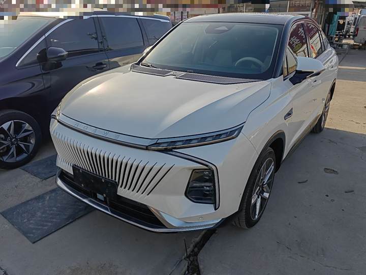 Whale 2022 2.0T Blue Whale Edition
