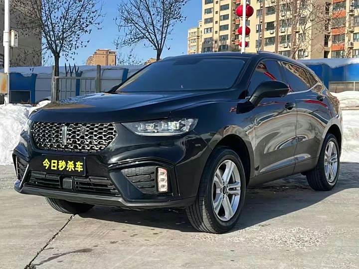 Weipai VV5 2020 1.5T Two-wheel drive Yan Pioneer