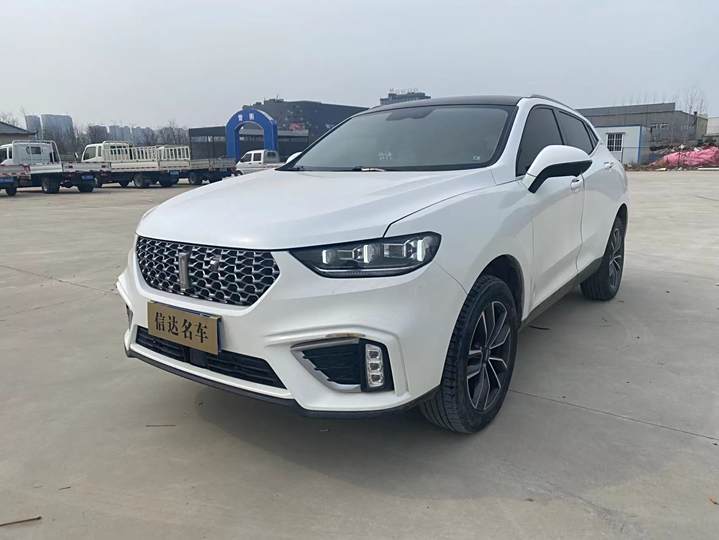 Weipai VV5 2021 1.5T Two-wheel drive smart pioneer