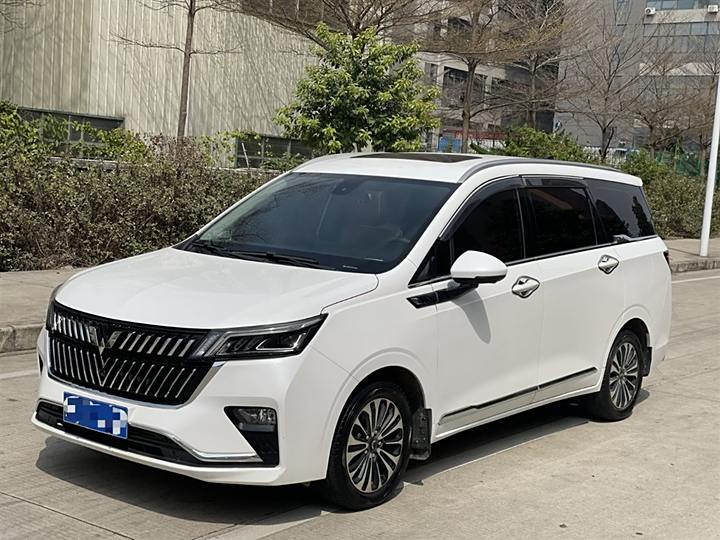 Wuling Jiachen 2022 1.5T CVT Exclusive Flagship Model