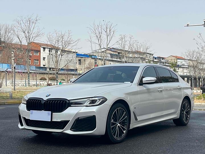 BMW 5 Series 2021 530Li Leading M Sports Set