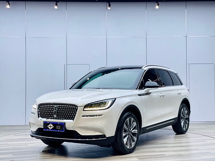 Adventurer 2022 2.0T Two-wheel drive Zunya Edition