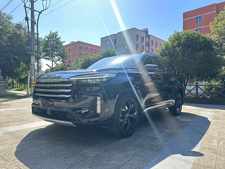 Star Tu Lun Yue 2021 390T Two-wheel drive Star Glory Edition