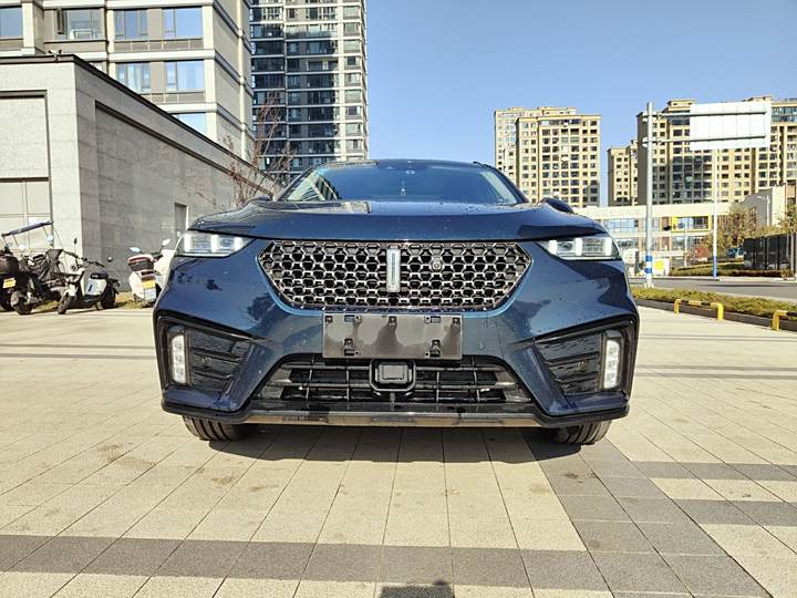 Weipai VV7 2021 2.0T Technology Edition