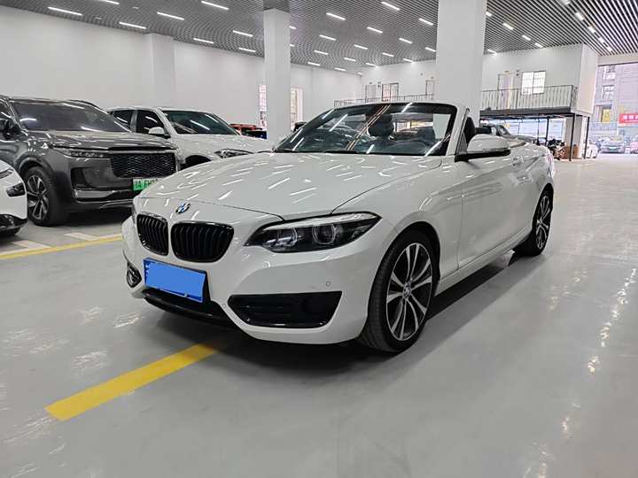 BMW 2 Series (imported) 2019 225i Convertible Coupe Sports Design Set