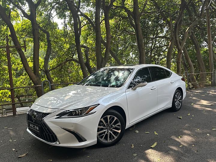 Lexus ES 2023 260 Excellent Edition