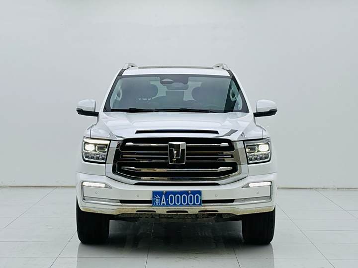 Tank 500 2023 3.0T Sport Version Realm Model 5 Seats