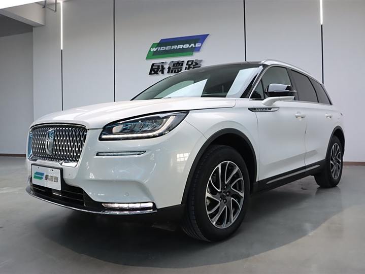 Adventurer 2021 2.0T Two-wheel drive Zunya Edition