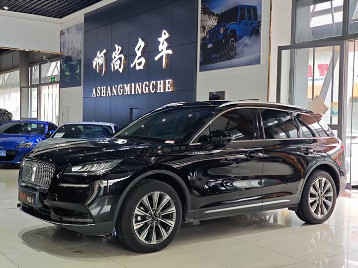 Adventurer 2022 2.0T Two-wheel drive Zunya Edition
