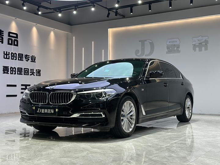 BMW 5 Series 2020 525Li Luxury Set