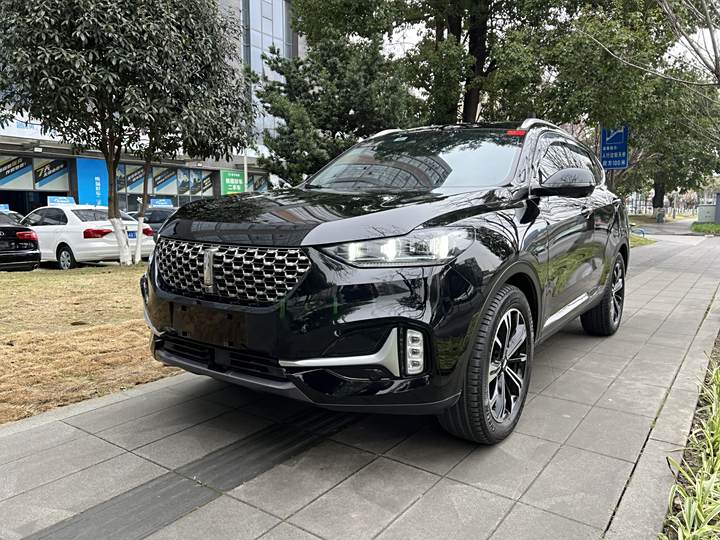 Weipai VV6 2021 2.0T Two-wheel drive smart +