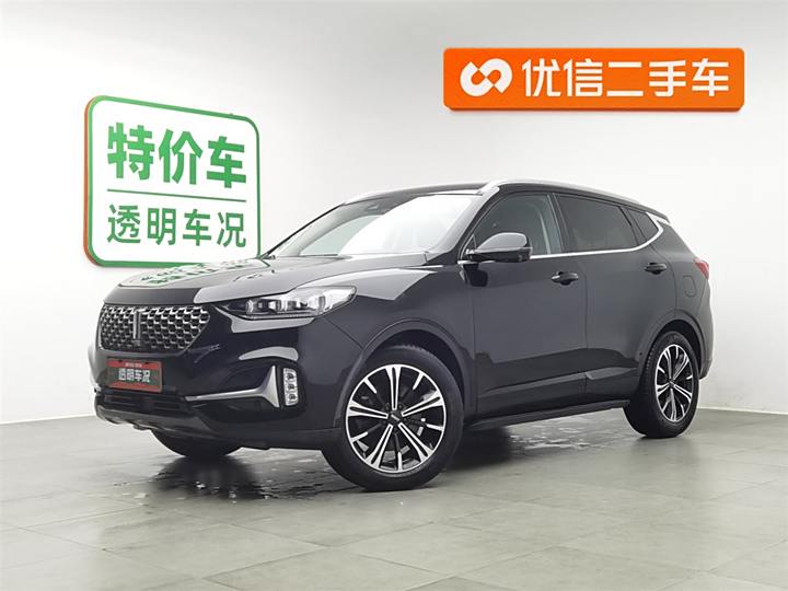 Weipai VV6 2020 2.0T Two-wheel drive smart +