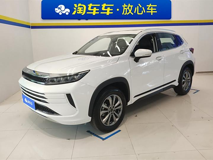 Star Tour Chasing the Wind 2022 Racing the Wind and Waves Edition 1.5T CVT Good Things Peanut Edition