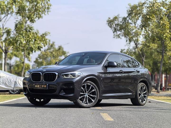 BMW X4 2020 xDrive25i M sports suit