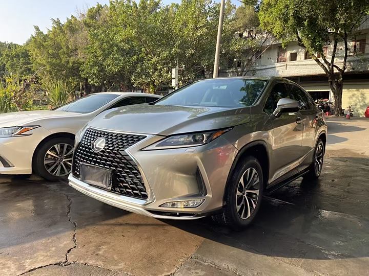 Lexus RX 2020 300 Two-wheel drive Elite Edition Guo VI