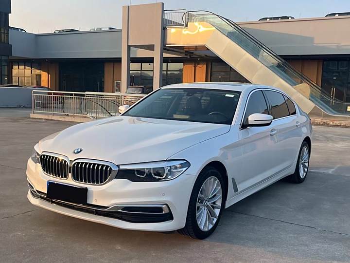 BMW 5 Series 2019 530Li Leading Deluxe Set