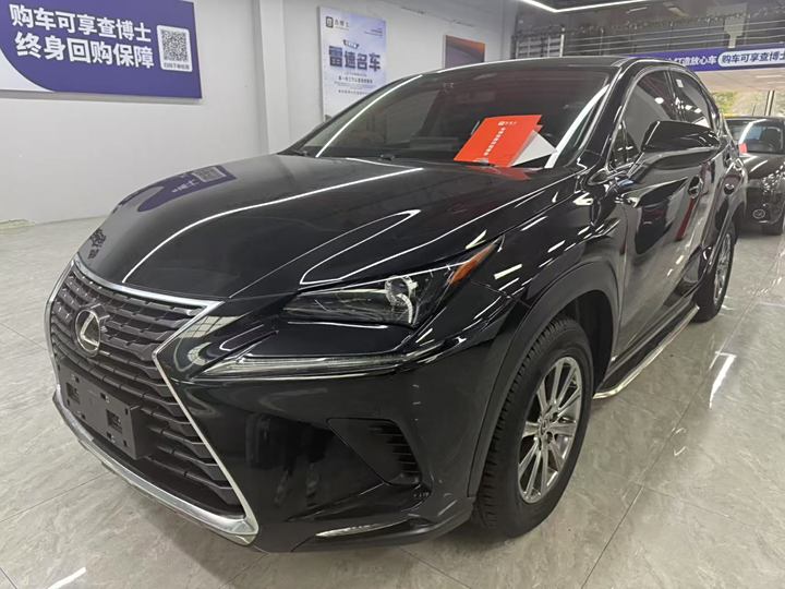 Lexus NX 2020 200 Front Drive Fengxing Version Guo V