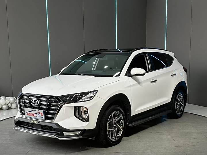 Tucson 2020 280TGDi two-wheel drive GLS fashion version Guo VI