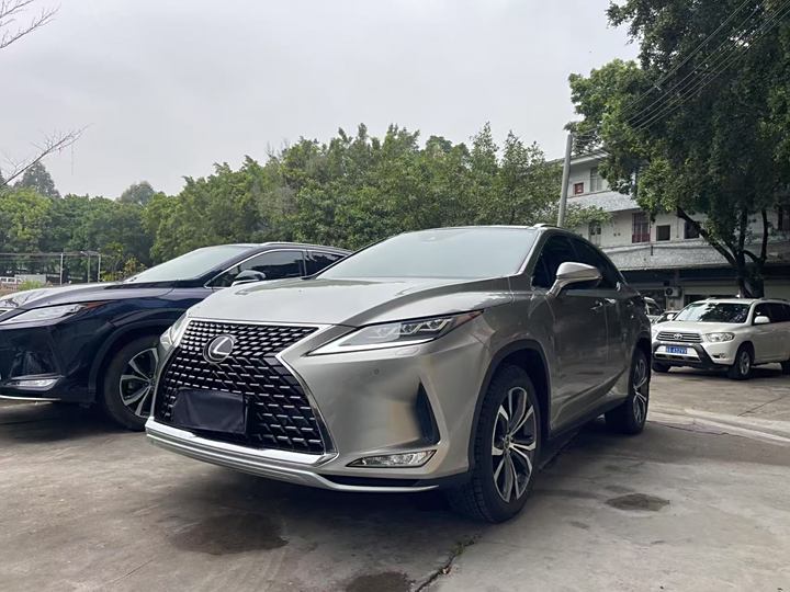 Lexus RX 2020 300 Four-wheel drive elegant version National VI