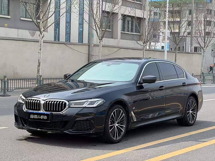 BMW 5 Series 2021 530Li Leading M Sports Set