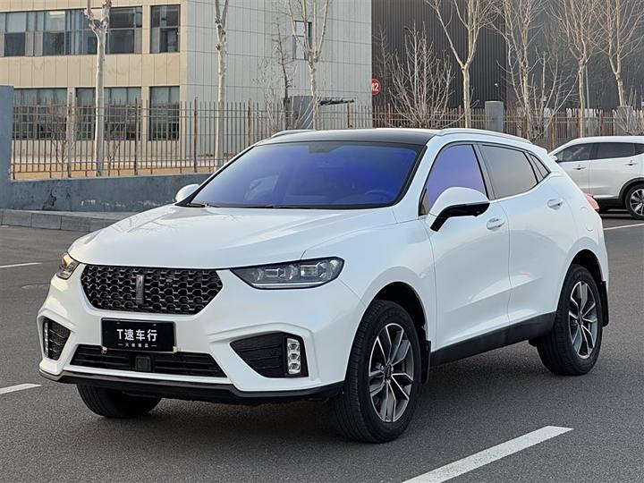 Weipai VV5 2020 1.5T Two-wheel drive Yan Pioneer