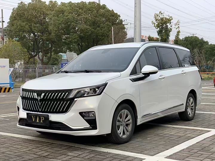 Wuling Jiachen 2022 1.5T CVT Exclusive Flagship Model