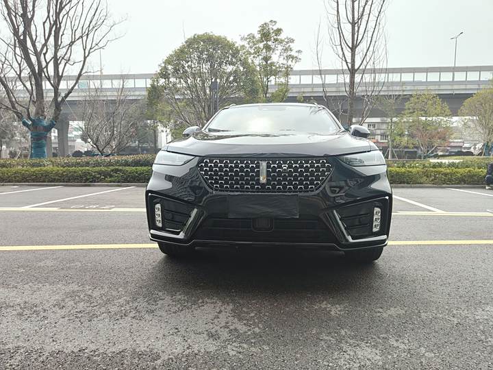 Weipai VV7 2021 2.0T Technology Edition