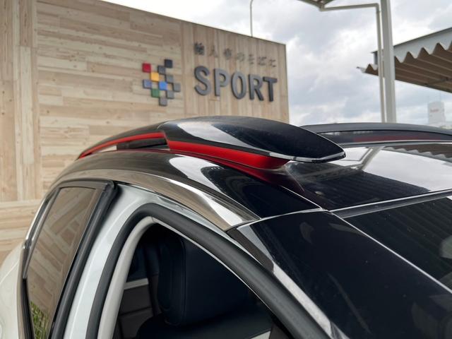 CITROEN C5 AIRCROSS SHINE NAPPA LEATHER PACKAGE