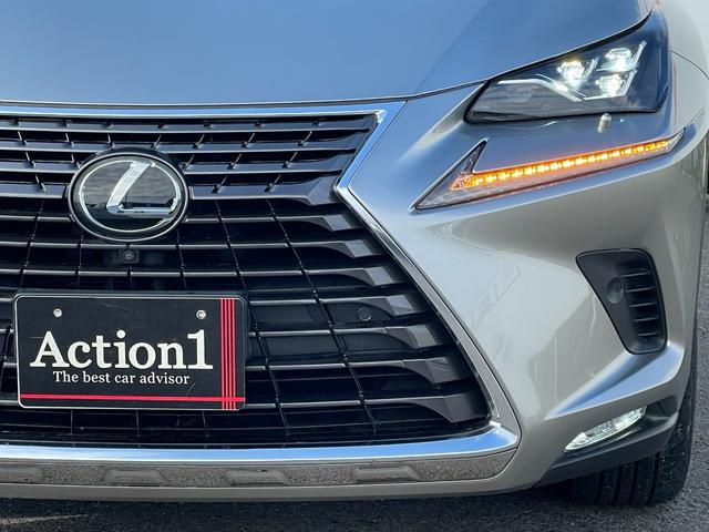 LEXUS NX NX300 I PACKAGE