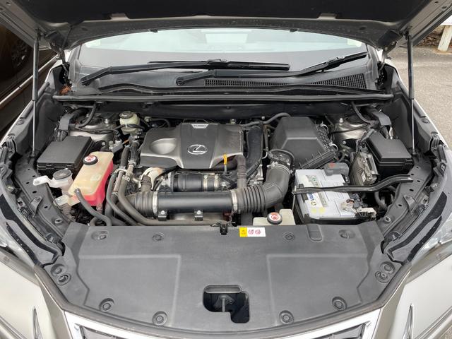 LEXUS NX NX300 I PACKAGE