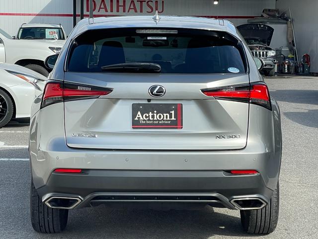 LEXUS NX NX300 I PACKAGE