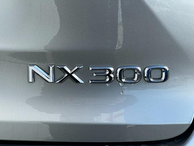 LEXUS NX NX300 I PACKAGE