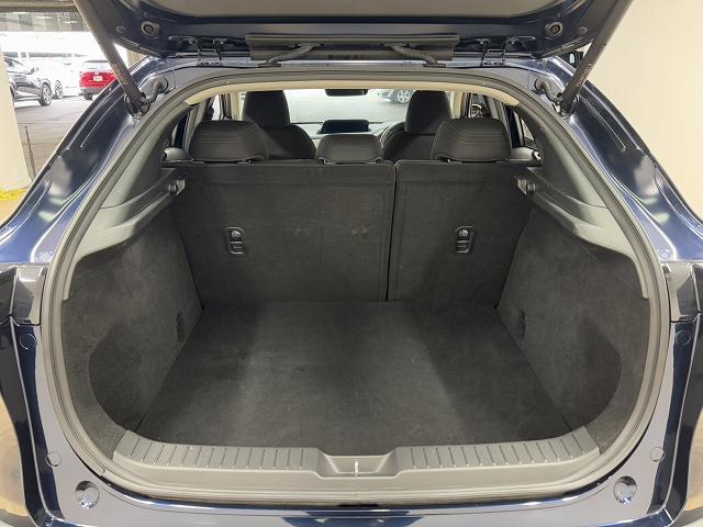 MAZDA CX-30 20S PROACTIVE TOURING SELECTION