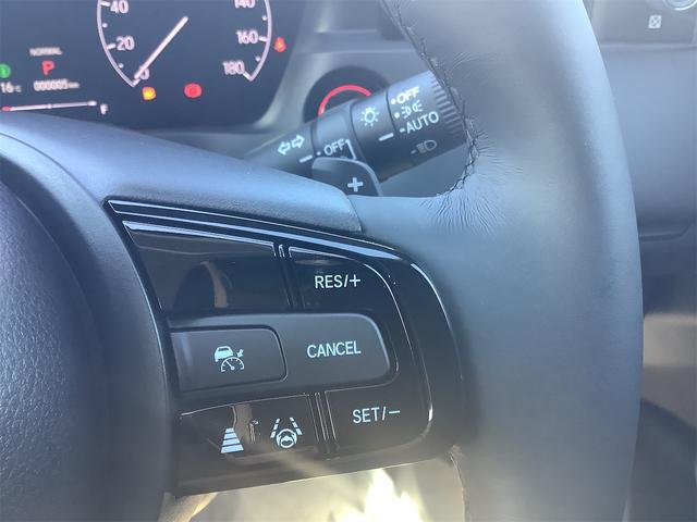 HONDA VEZEL EHEV X