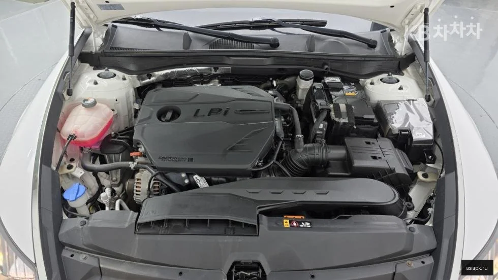 Lexus NX350h 6