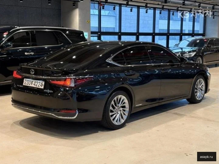 Lexus NX350h 4