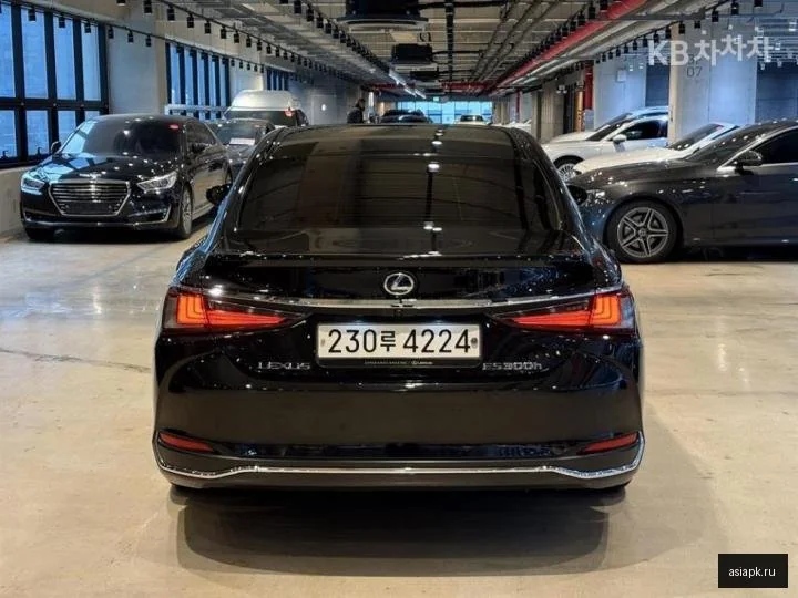 Lexus NX350h 5