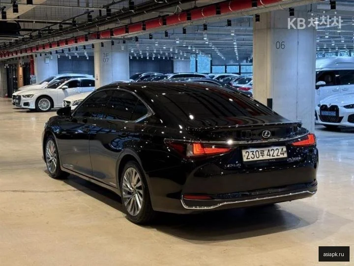 Lexus NX350h 6