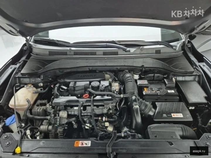 Renault Kangoo 5