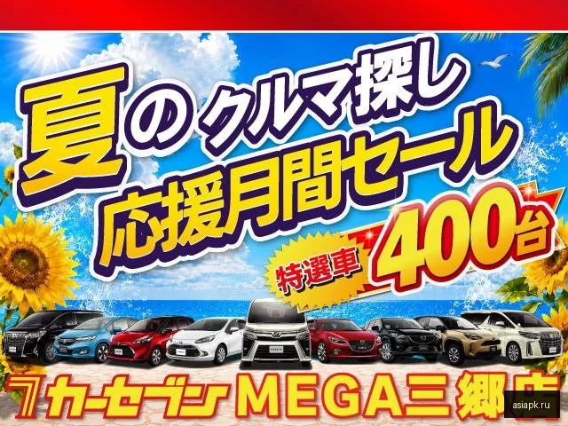 Daihatsu Cast 3