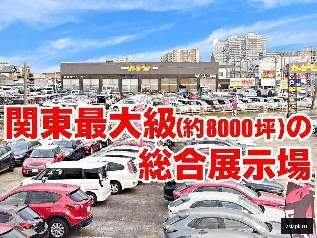 Daihatsu Cast 6